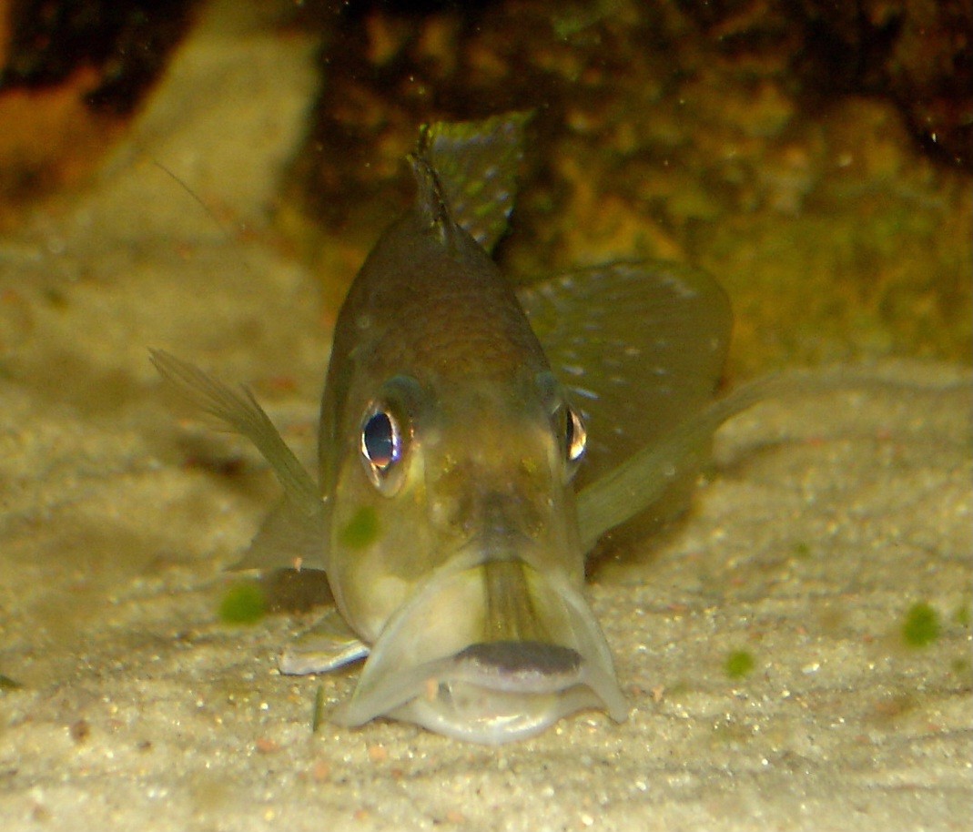 DSC00388.jpg