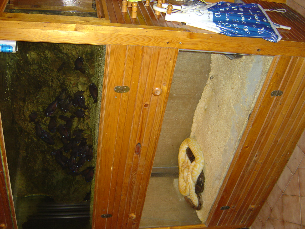 DSC00812.JPG