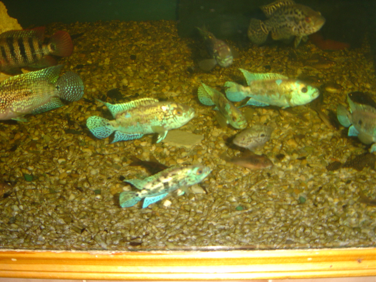 DSC00798.JPG